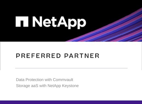 NetAppPartnerWithCompetencyBadge